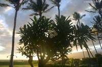 2007_hawaii_0060
